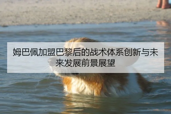 姆巴佩加盟巴黎后的战术体系创新与未来发展前景展望